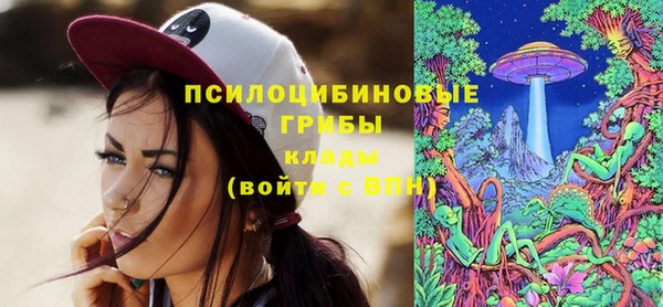 мет Аркадак